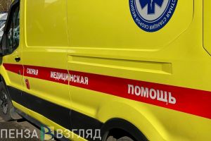 Погибла девушка, штрафы для ресурсников, шерстистый носорог — новости Пензы и области за 30 октября