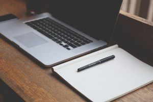 В Пензенской области создадут государственную информационную систему официальных сайтов