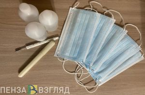 229 жителей Пензенской области позвонили на «горячую линию» по вопросам гриппа и ОРВИ
