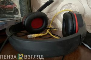 Школьники из Пензы смогут получить юридическую консультацию по телефону
