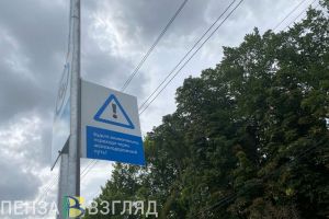 Пензенцы более 1300 раз переходили железную дорогу в неположенном месте