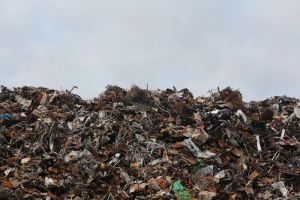В Пачелме полигон ТКО эксплуатировался с нарушением природоохранного законодательства