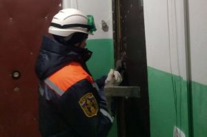 Пензенские спасатели приехали в многоэтажку из-за криков о помощи