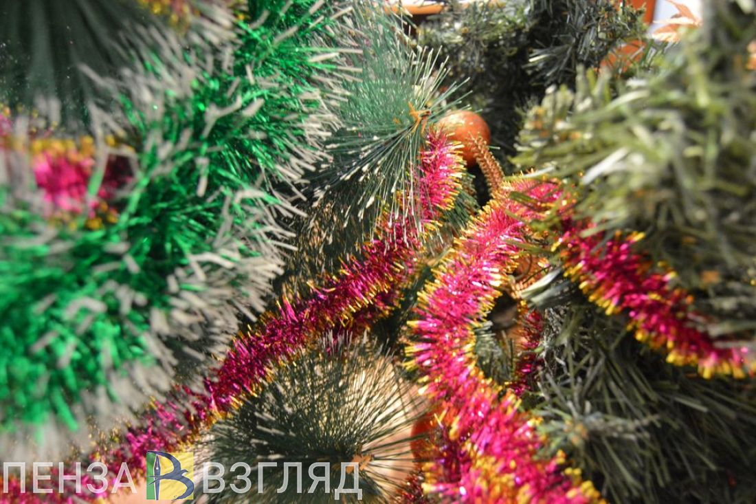 В Пензе решили, что будет самым важным на новогодних праздниках