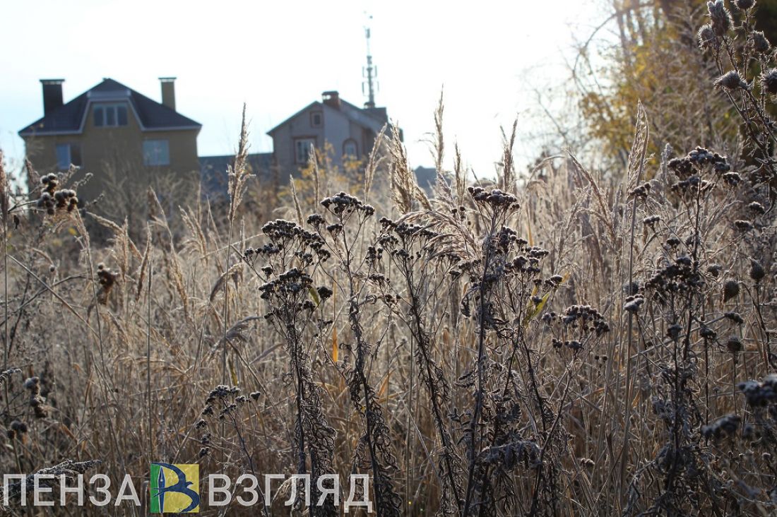 Синоптики сделали прогноз погоды в Пензенской области на 7 ноября