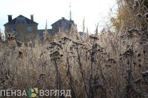 Синоптики сделали прогноз погоды в Пензенской области на 7 ноября