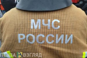 В пензенском МЧС сообщили подробности ДТП на трассе «Урал» под Нижним Ломовом