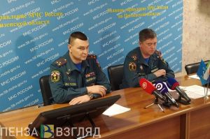 В ГУ МЧС назвали наиболее вероятную причину пожара в «Красных холмах» в Пензе