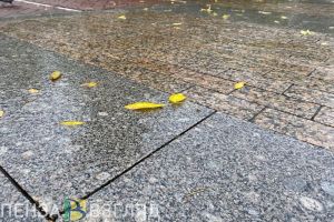 Мокрый снег, переходящий в дождь. Синоптики дали прогноз погоды в Пензенской области
