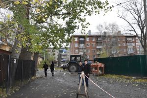 Безопасности пензенцев угрожают сухие ветки, нависающие над парковкой