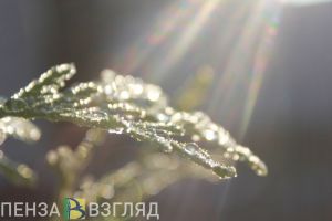 Погода в Пензе возьмет курс на потепление