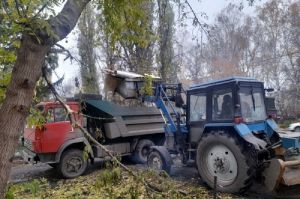 Центральные улицы Пензы избавили от мусора и листвы