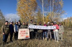В Пензенской области высадили около 90 тысяч деревьев