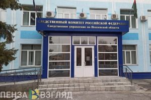 Покушение на ребенка, ограничение движения и новый руководитель администрации: новости Пензенской области за 8 ноября