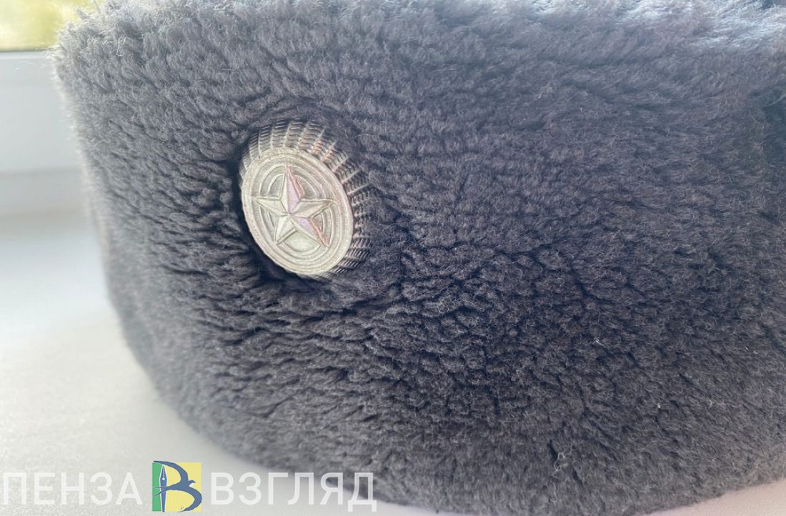 Жителям Пензенской области рассказали, какие выплаты положены семьям мобилизованных