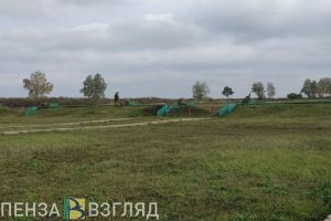 В Пензе рассказали, что делать, если узнать о судьбе мобилизованного по «горячей линии» не получается