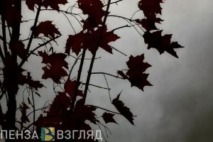 Суперкомпьютер назвал десятилетие, когда человечеству придет конец. Ждать осталось недолго