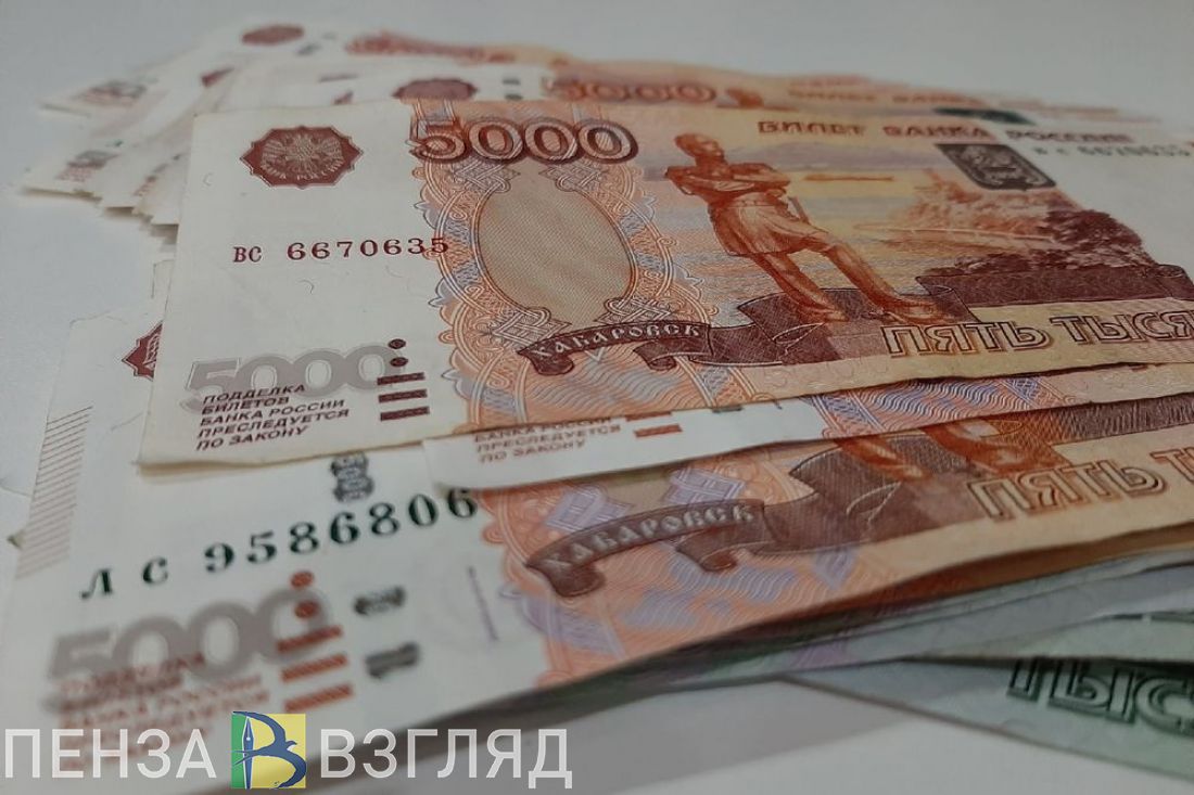 Выплаты пензенским мобилизованным могут скоро освободить от налога на доходы физлиц