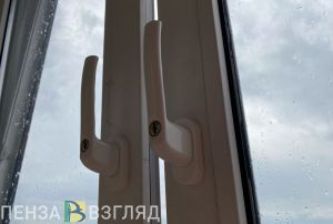 В субботу в Пензенской области ожидаются дождь и сильный ветер