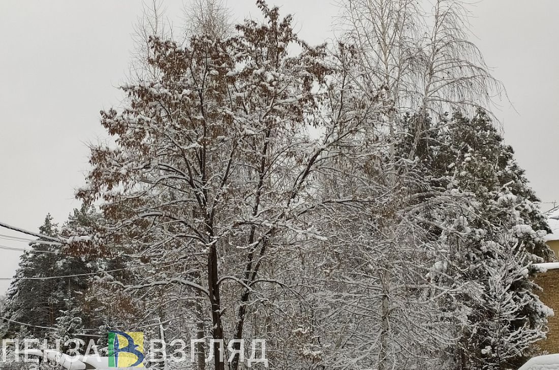 Синоптики предупредили жителей Пензенской области о погодных испытаниях