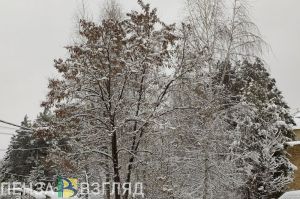 Синоптики предупредили жителей Пензенской области о погодных испытаниях