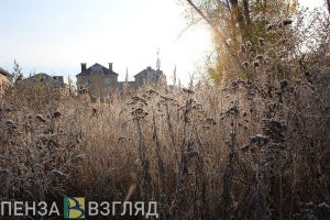 В Пензенской области завтра температура воздуха может подняться до +9 градусов
