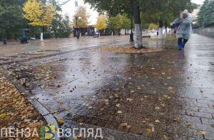 Порывы сильного ветра продолжатся в Пензенской области