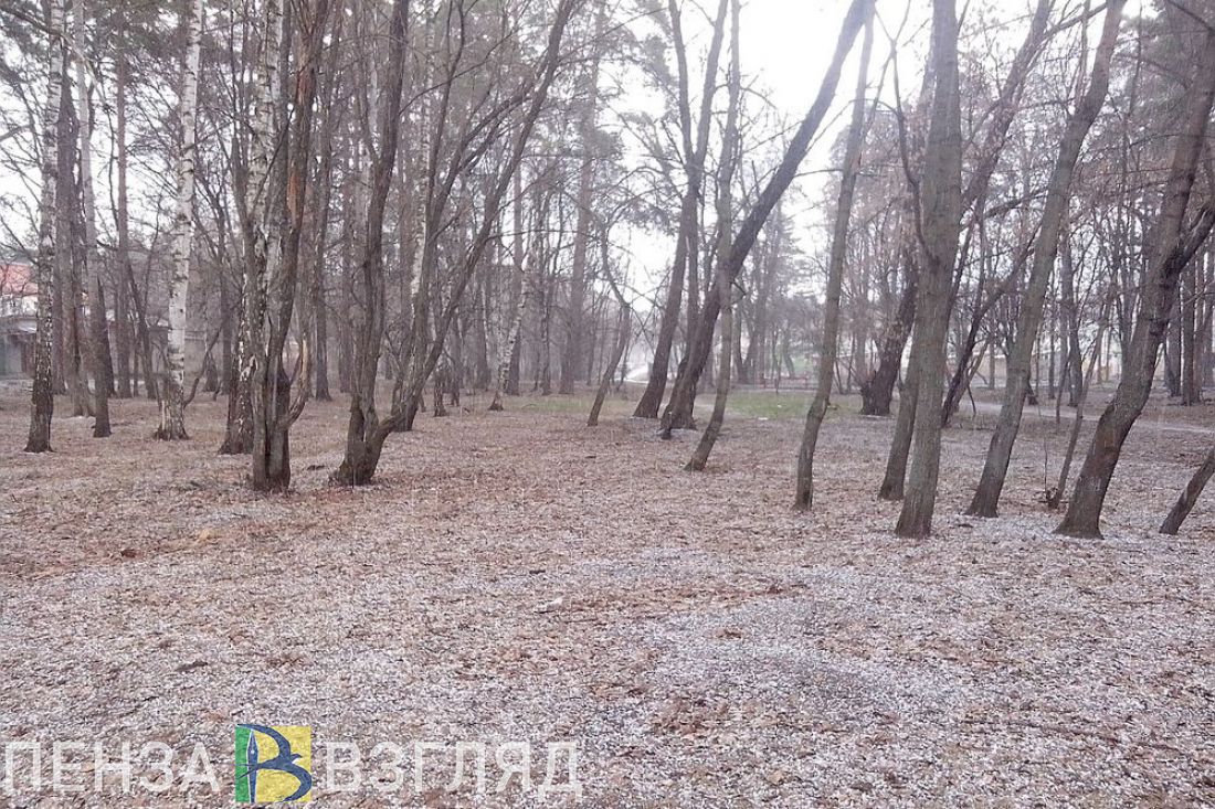 До 7 градусов мороза в ближайшие дни упадет температура воздуха в Пензенской области