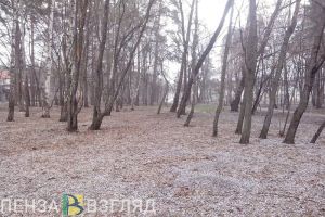 До 7 градусов мороза в ближайшие дни упадет температура воздуха в Пензенской области