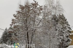 В Пензенской области 15 ноября ожидаются мокрый снег и гололедица