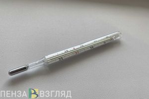 Пензенский Роспотребнадзор сообщил данные по гриппу и ОРВИ
