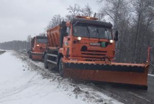 В Пензе последствия непогоды устраняют с помощью 114 спецмашин