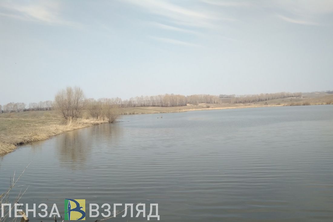 Радий Зябиров ответит на вопросы пензенцев о сохранении водных объектов