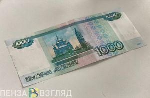 Деньги, продукты и радиоприемник украл житель Пензенской области
