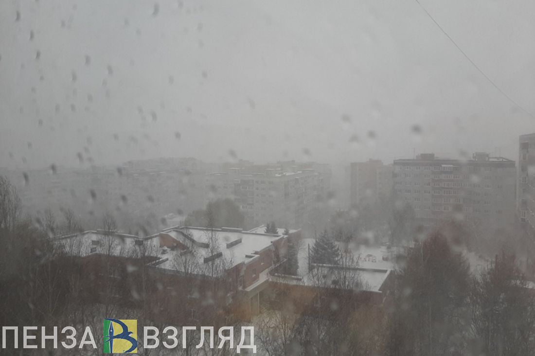 До 3 градусов тепла обещают в пятницу синоптики в Пензенской области