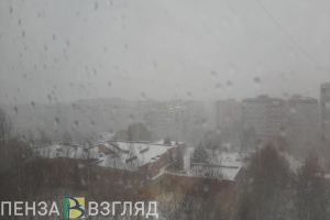 До 3 градусов тепла обещают в пятницу синоптики в Пензенской области