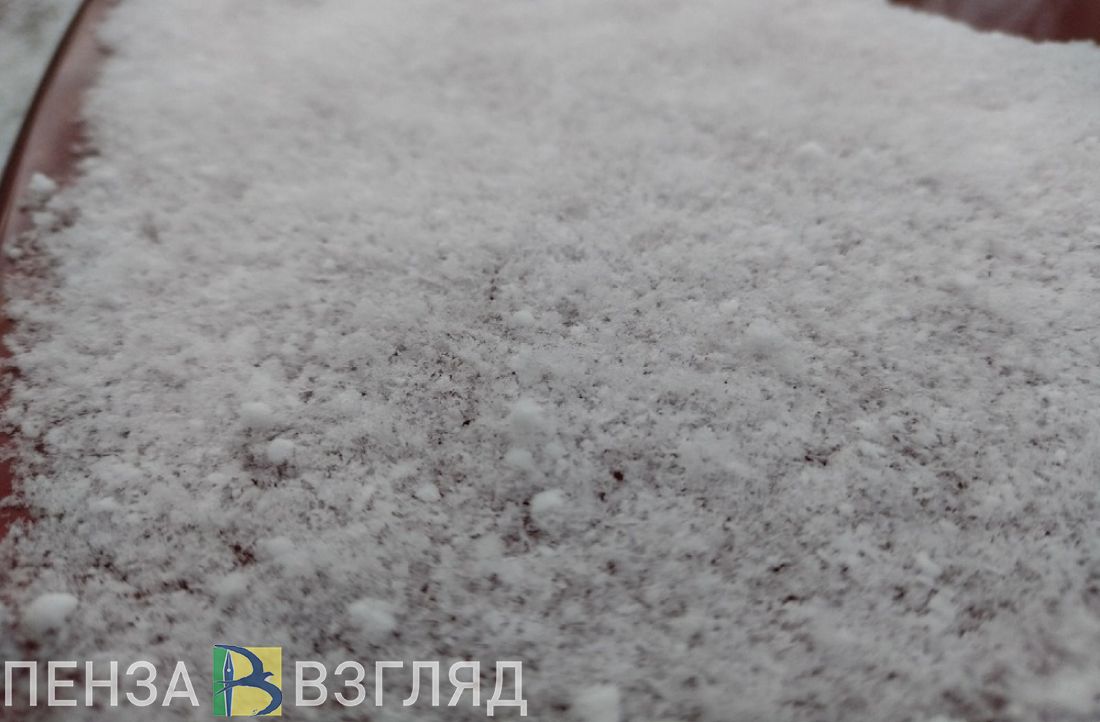 Мокрый снег и гололед ожидаются в Пензенской области 19 ноября