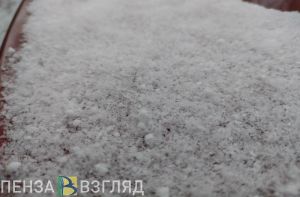 Мокрый снег и гололед ожидаются в Пензенской области 19 ноября
