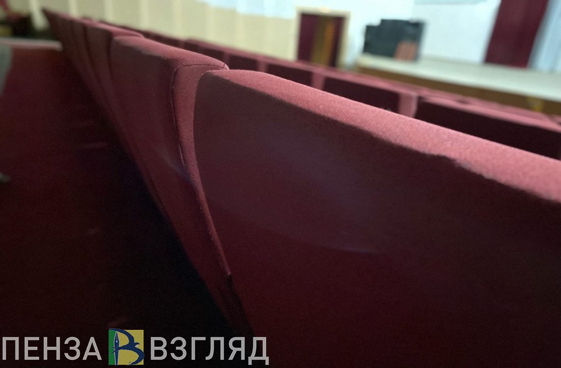 Молодые пензенцы, оформившие Пушкинскую карту, могут бесплатно ходить в кино