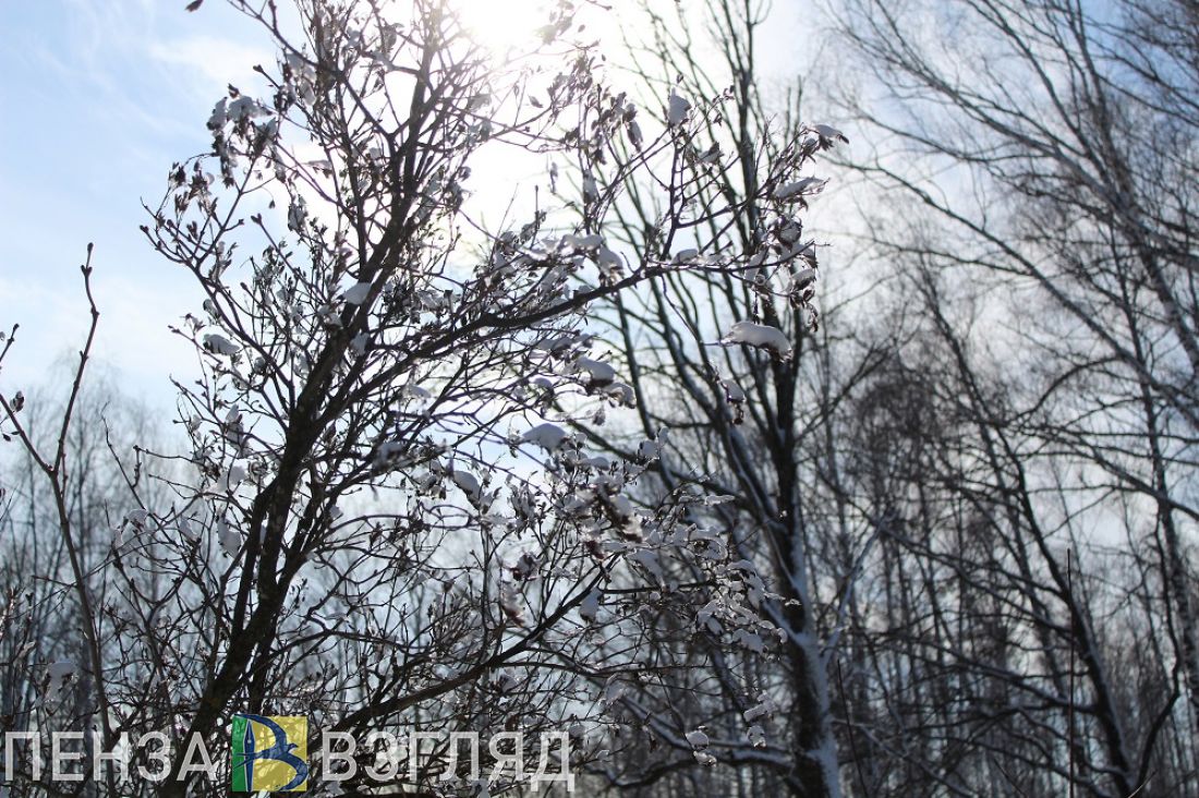 Пензенскую телевышку подсветят в поддержку экологической акции