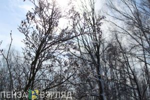 Пензенскую телевышку подсветят в поддержку экологической акции