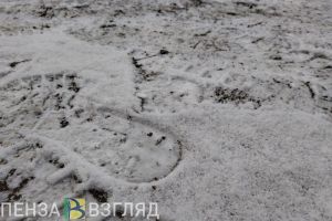 В воскресенье в Пензенской области прогнозируются снег и гололедица