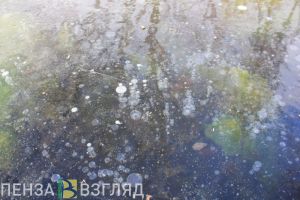 В Пензенской области на этой неделе пройдут ледяные дожди