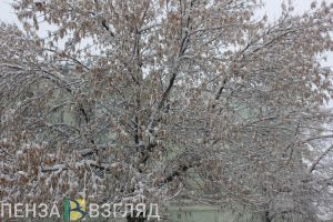 В понедельник пензенцам обещают туман и мокрый снег