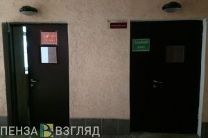 Более 50 случаев ковида выявили в Пензенской области за сутки