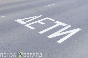 Пензячка попросила осветить опасный пешеходный переход рядом с школой
