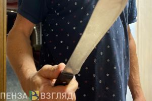 Камешкирец пырнул ножом товарища, потребовавшего вернуть долг