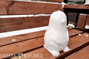 «Влияние атмосферных фронтов». Пензенские синоптики дали прогноз погоды до конца рабочей недели