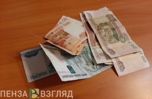 Пензячка поверила мошеннице и потеряла более 53 тысяч рублей