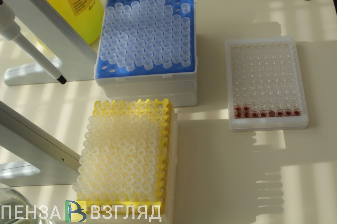 От гриппа привиты более 600 тысяч жителей Пензенской области